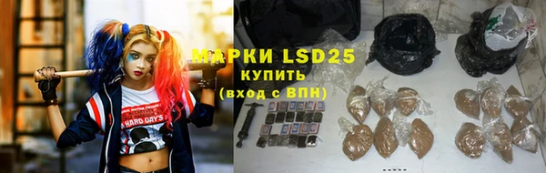 индика Наволоки