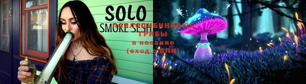 мдпв Надым