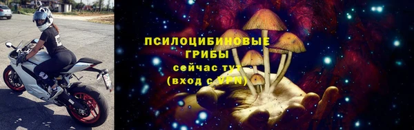 индика Наволоки