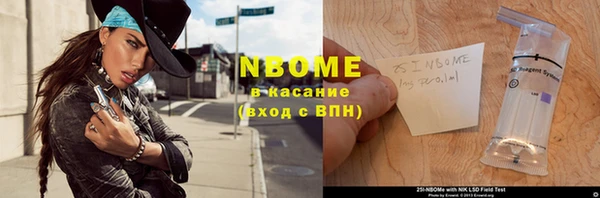 индика Наволоки