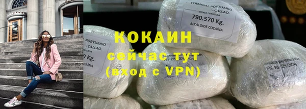 индика Наволоки